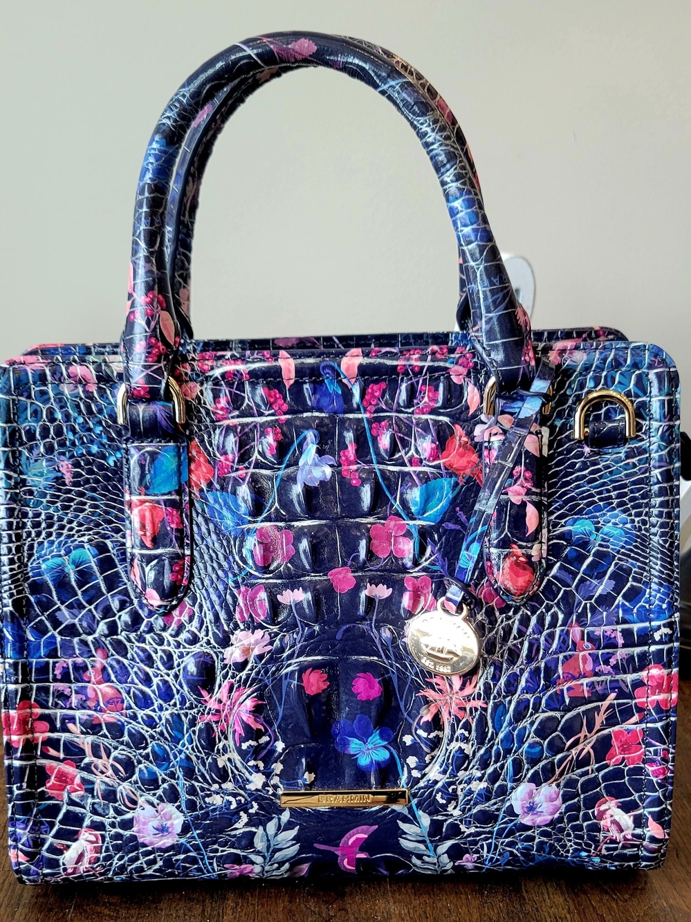 NWT Brahmin Folktale Cami Satchel